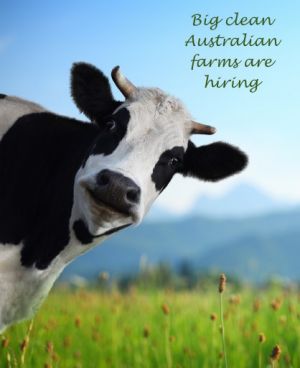 Farm jobs in Australia